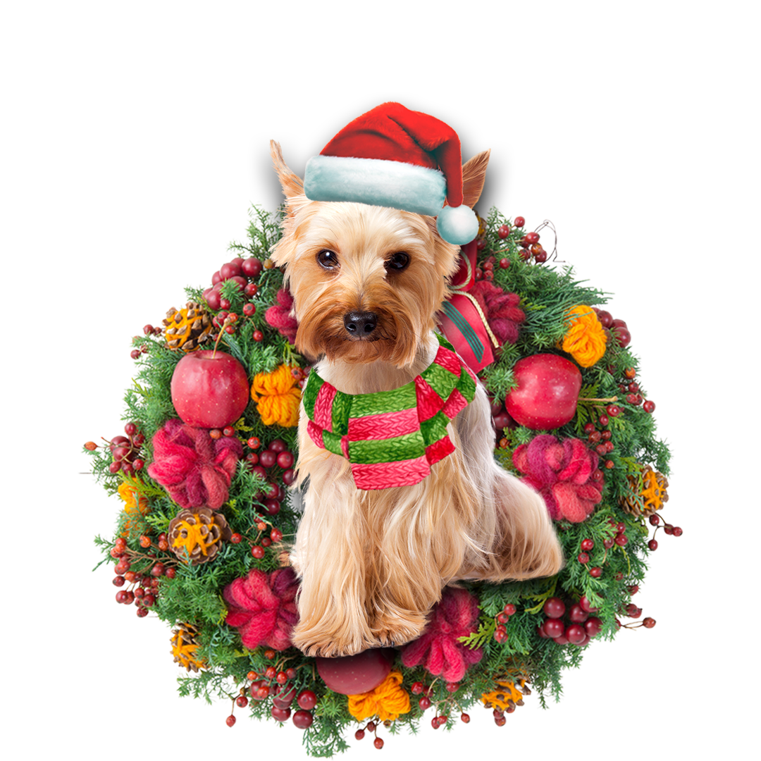 Yorkshire Terrier Christmas Ornament